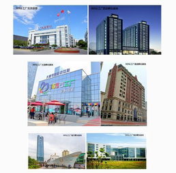 大唐網絡369云工廠運營公司成立，實業運營與建設雙輪驅動區域孵化基地全面升級